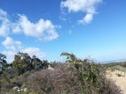 Litsarda Kreta, Litsarda: Großes Baugrundstück mit offenem Meer- und Bergblick zu verkaufen Grundstück kaufen